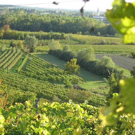 Capriva Del Friuli - Casa Roncus Villa Eksteriør billede