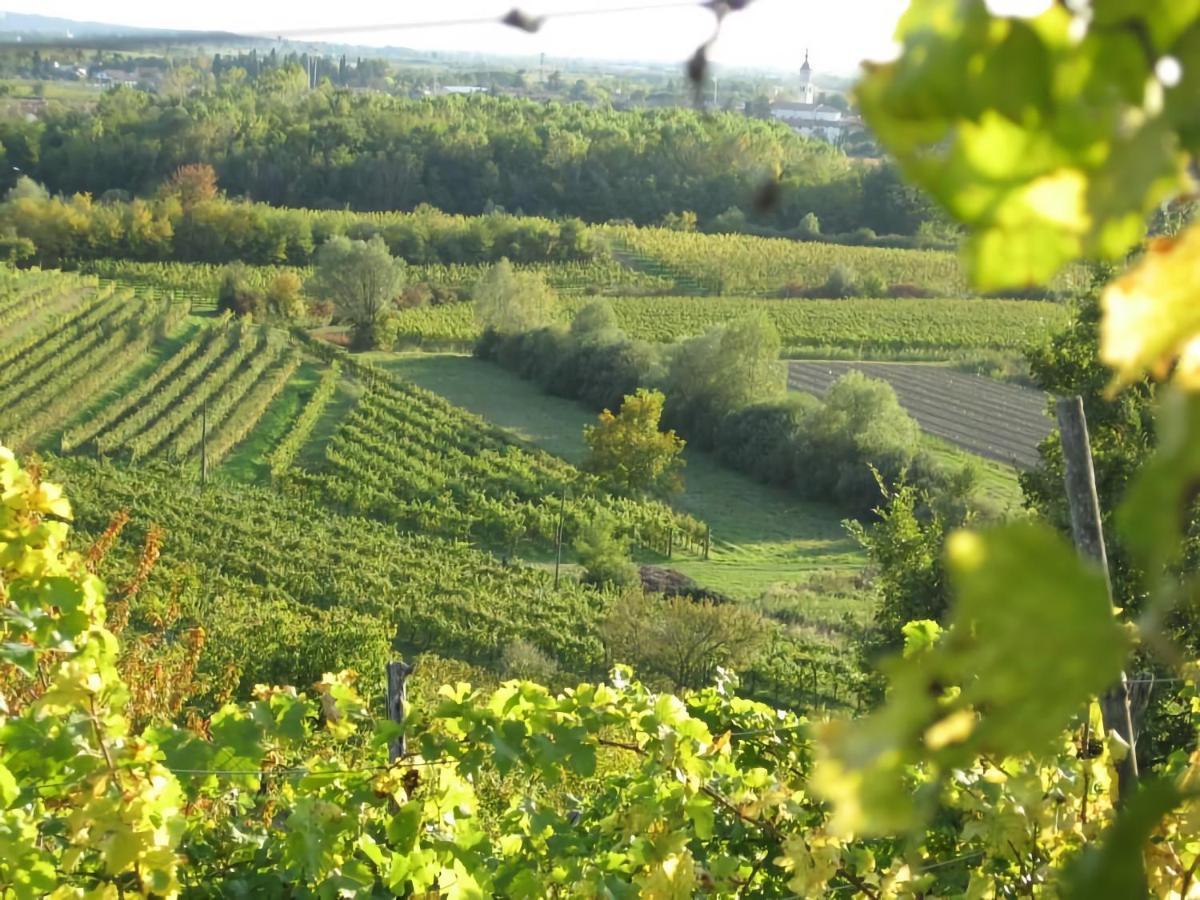 Capriva Del Friuli - Casa Roncus Villa Eksteriør billede
