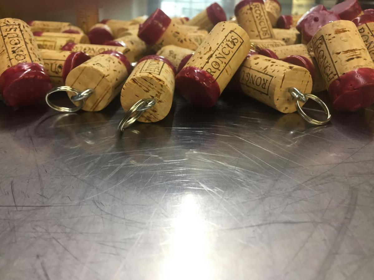 Capriva Del Friuli - Casa Roncus Villa Eksteriør billede